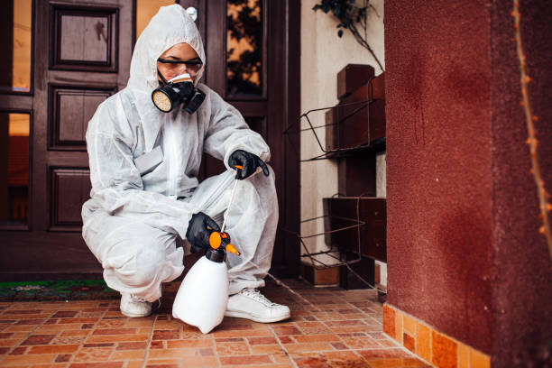 Reliable Cockroach Control contractor in Lake Dunlap, TX by Nex Pest Control